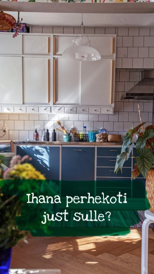 Ihana perhekoti just sulle? 💗

Näitä harvemmin tulee edes avoimille markkinoille: myynnissä 83 neliöinen neliö rakastetulla Vanhan Herttoniemen alueella Itä-Helsingissä.

Ihanan kodin lisäksi taloyhtiö on hyvin hoidettu, kaikki isot rempat on tehty talon alkuperäistä 1950-luvun ilmettä kunnioittaen. On maalämpö, punttisali ja jopa asukkaiden yhteinen puuverstas.

Ja silti vastike ihan uskomattoman halpa: 358,80 euroa!

Tontin vuokrasopimuskin on voimassa vuoden 2070 loppuun, joten tässä voi asua yksi jos toinenkin perhe ilman huolta tonttivuokraan tulevista korotuksista.

Asunnon seuraavat yksityisnäytöt ke 11.3. ja ma 16.3. Vielä mahtuu mukaan. Asuntonäytöt muuhun aikaan ja kaikki tiedustelut välittäjän kautta - linkin asunnonmyynti-ilmoitukseen löydät mun profiilista! 

#herttoniemi #myydäänasunto